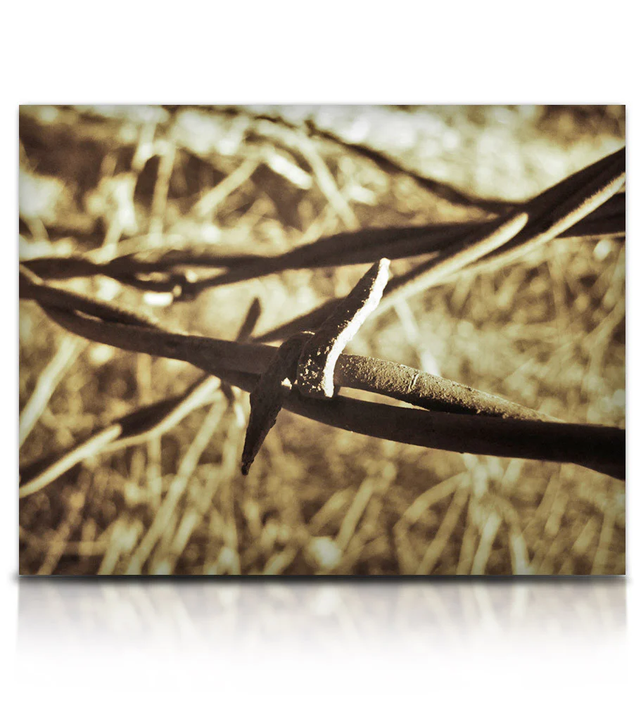 Frendo - Image 6