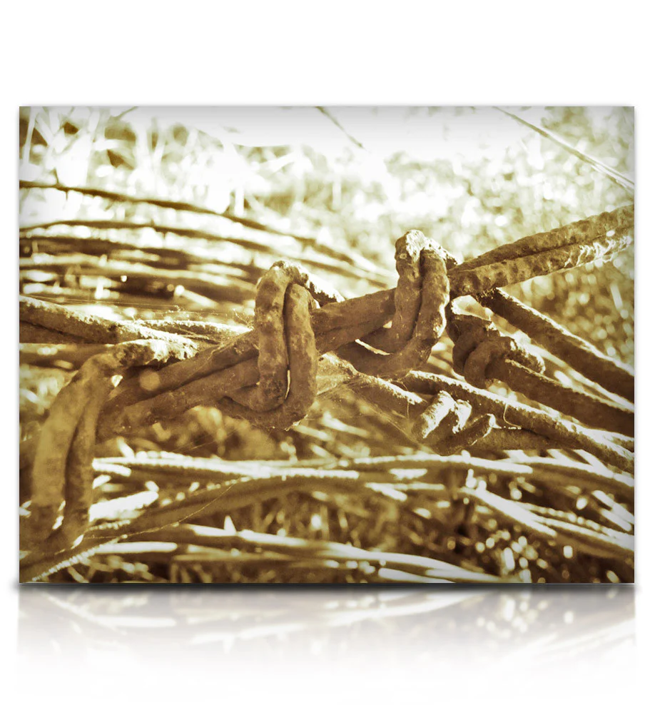 Frendo - Image 8