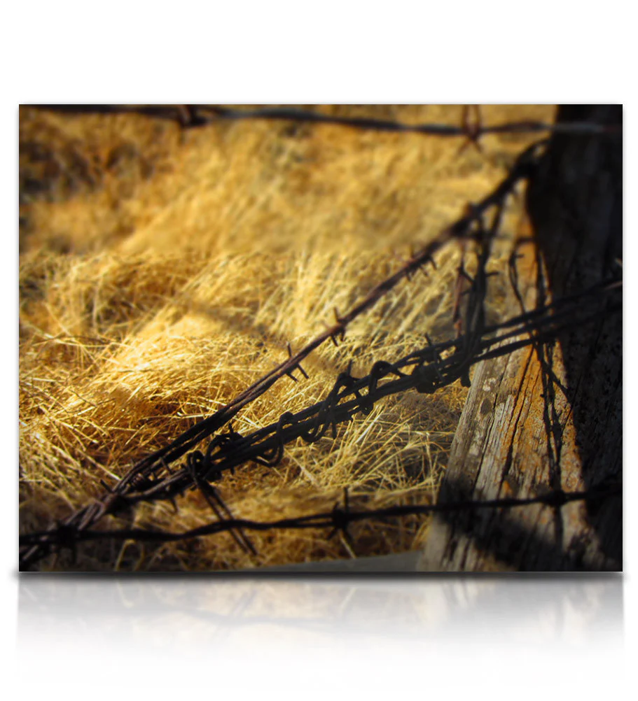 Rust 3 - Image 6